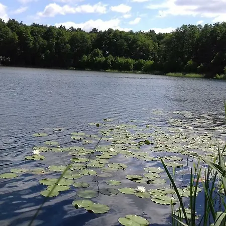 Κάμπινγκ Camping De Luxe Am See I Lubtheen